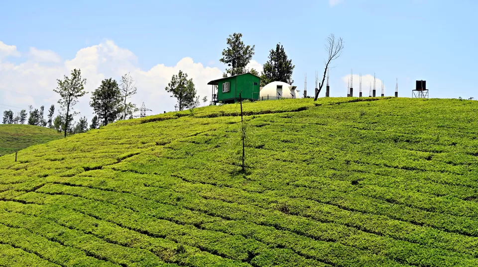 Photo of Coonoor, Tamil Nadu, India by Sukhpal Singh
