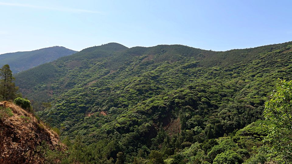 Photo of OOTY: Blessed by nature, Nurtured by British & Embraced by us by Sukhpal Singh