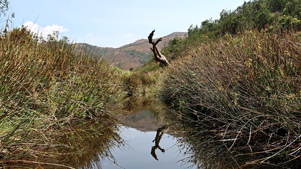 Photo of OOTY: Blessed by nature, Nurtured by British & Embraced by us by Sukhpal Singh