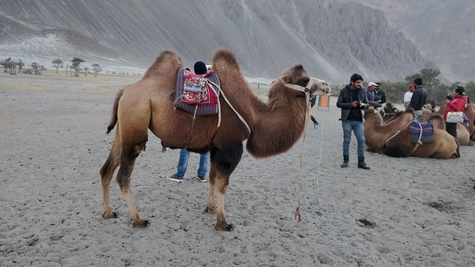 Photo of Finding trueself on the roadtrip to leh by Vishwa Kundra
