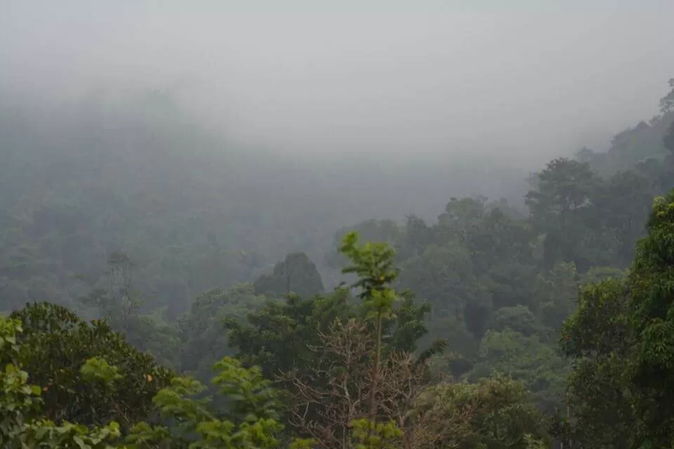 Photo of Ecoscape, Devala by Shyam Kumar