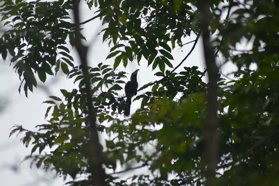 Photo of Ecoscape, Devala by Shyam Kumar