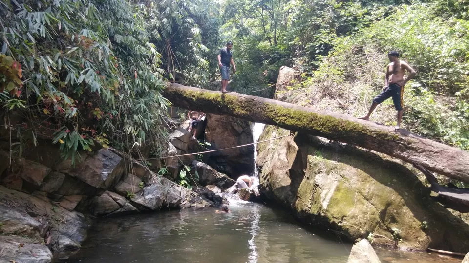 Photo of Ecoscape, Devala by Shyam Kumar