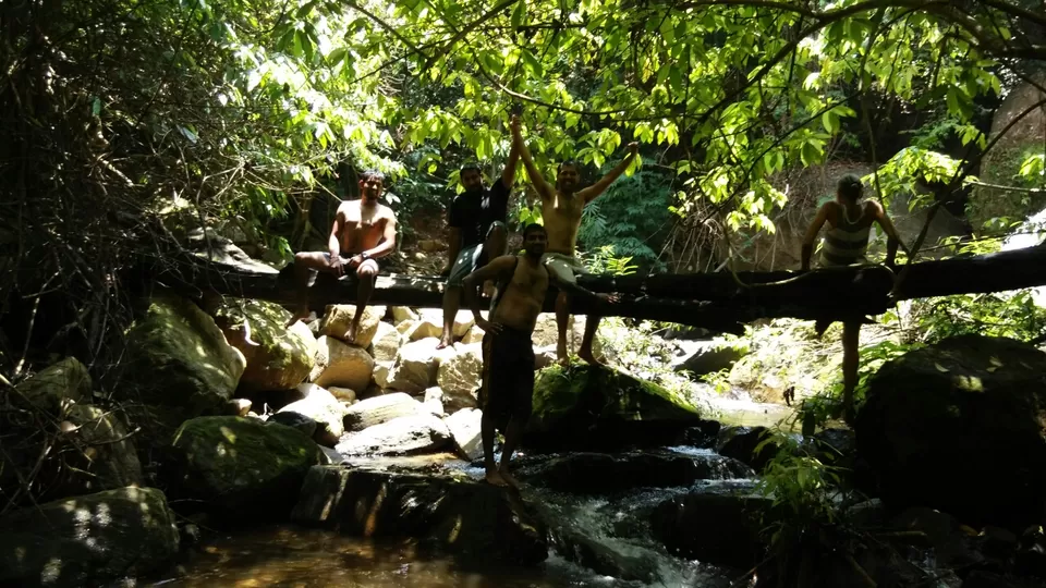 Photo of Ecoscape, Devala by Shyam Kumar