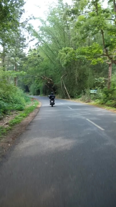 Photo of Bandipur, Karnataka, India by Shyam Kumar
