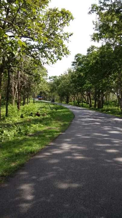 Photo of Bandipur, Karnataka, India by Shyam Kumar