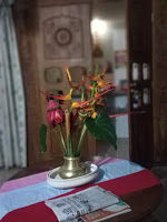 Photo of Coorg (coffee estate of India) 2/10 by Teena Haritwal