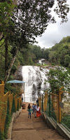 Photo of Coorg (coffee estate of India) 9/10 by Teena Haritwal