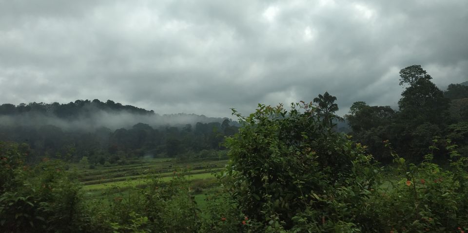 Photo of Coorg (coffee estate of India) by Teena Haritwal