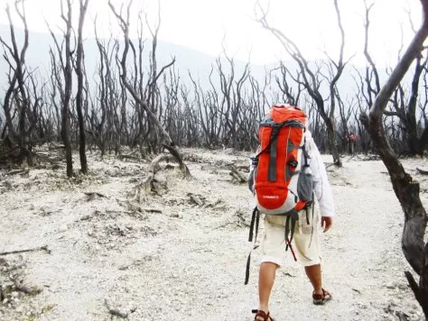 Photo of Hutan Mati by Shabrina Koeswologito