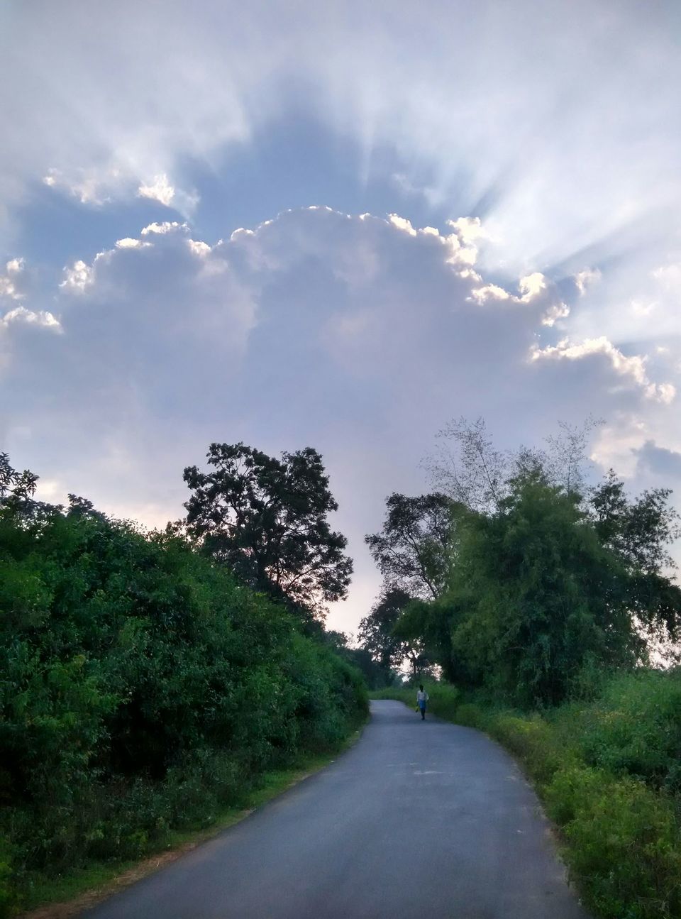 Photo of Skip NH - Ride to Jawdhu hills on state highways by Muthu Kumaran