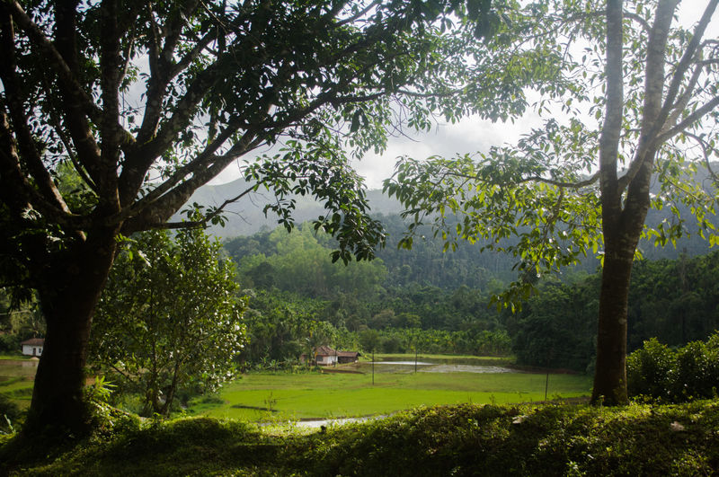 Photo of A monsoon cruise on the western ghats 1/7 by Muthu Kumaran