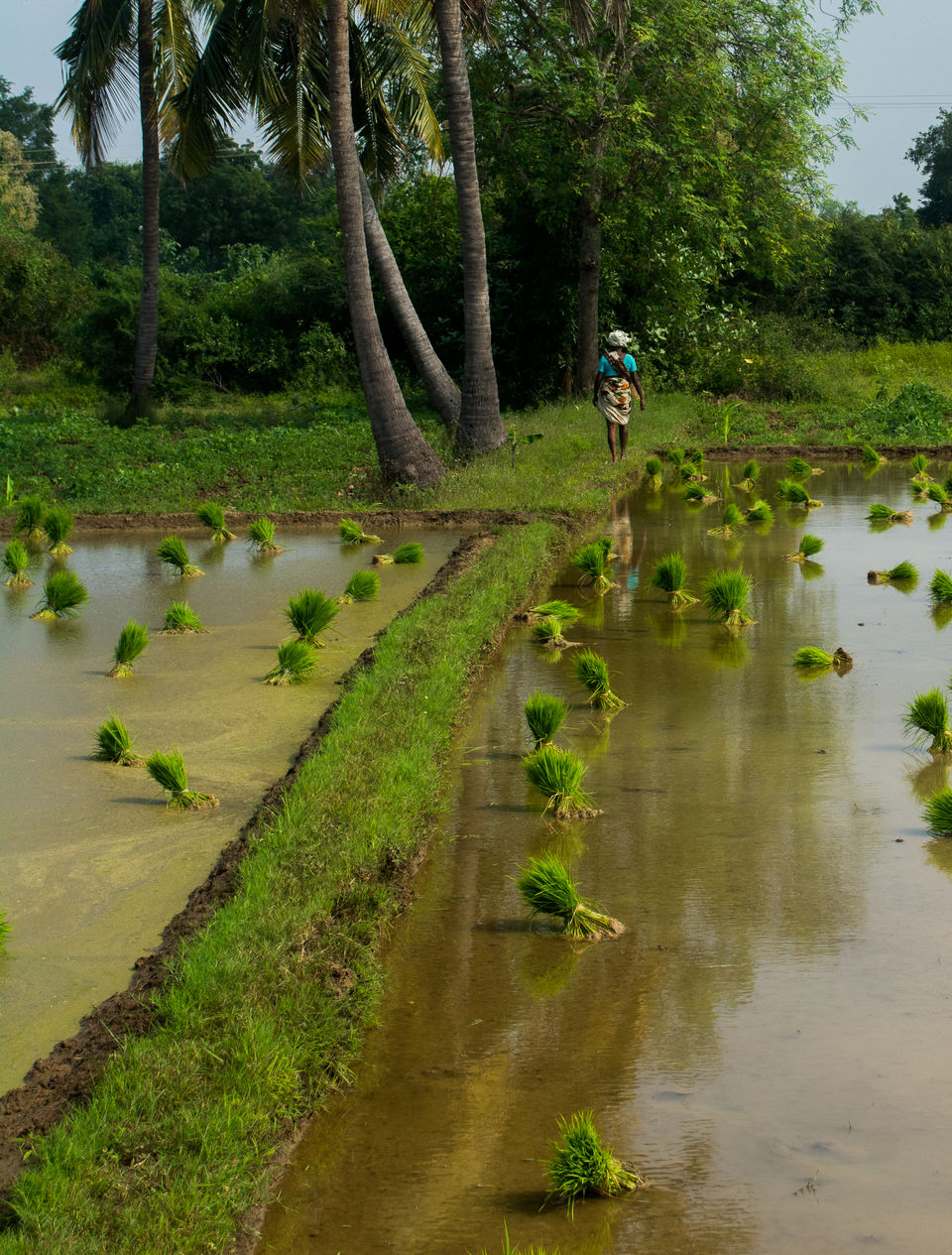 Photo of Skip NH - Ride to Jawdhu hills on state highways by Muthu Kumaran