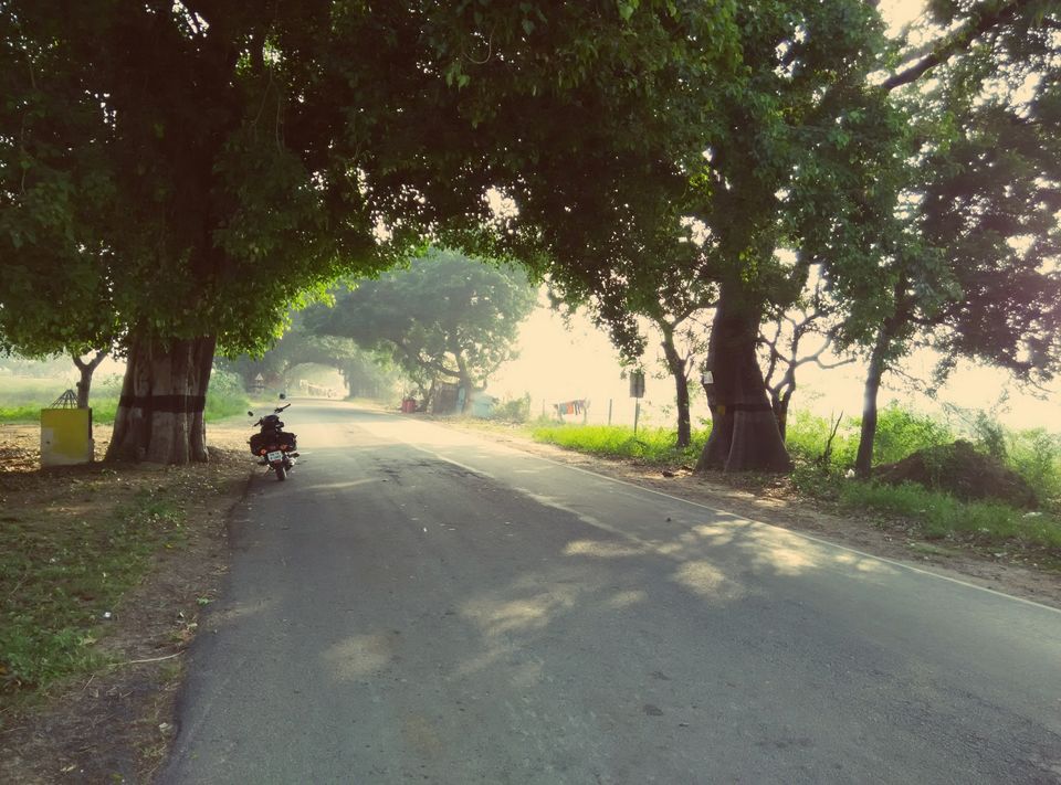 Photo of Skip NH - Ride to Jawdhu hills on state highways by Muthu Kumaran