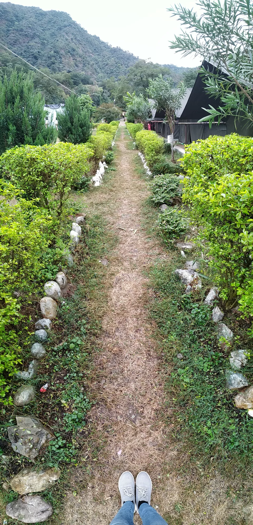 Photo of Camp Riverside, Rishikesh, Uttarakhand, India by Traveltikrum