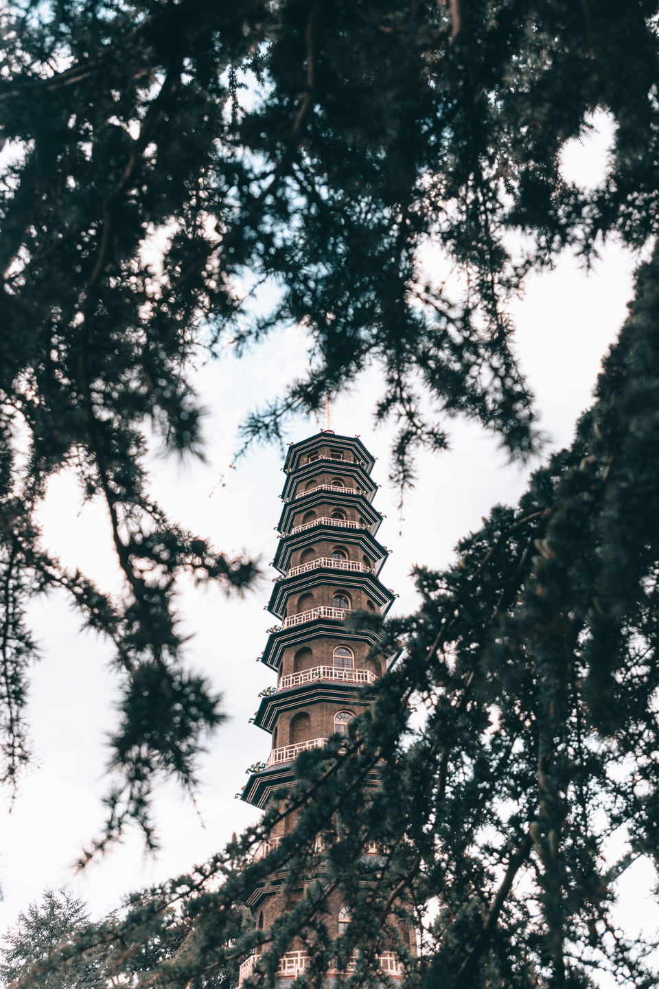 Photo of Royal Botanic Gardens, Kew, Richmond, UK by Vishal RS