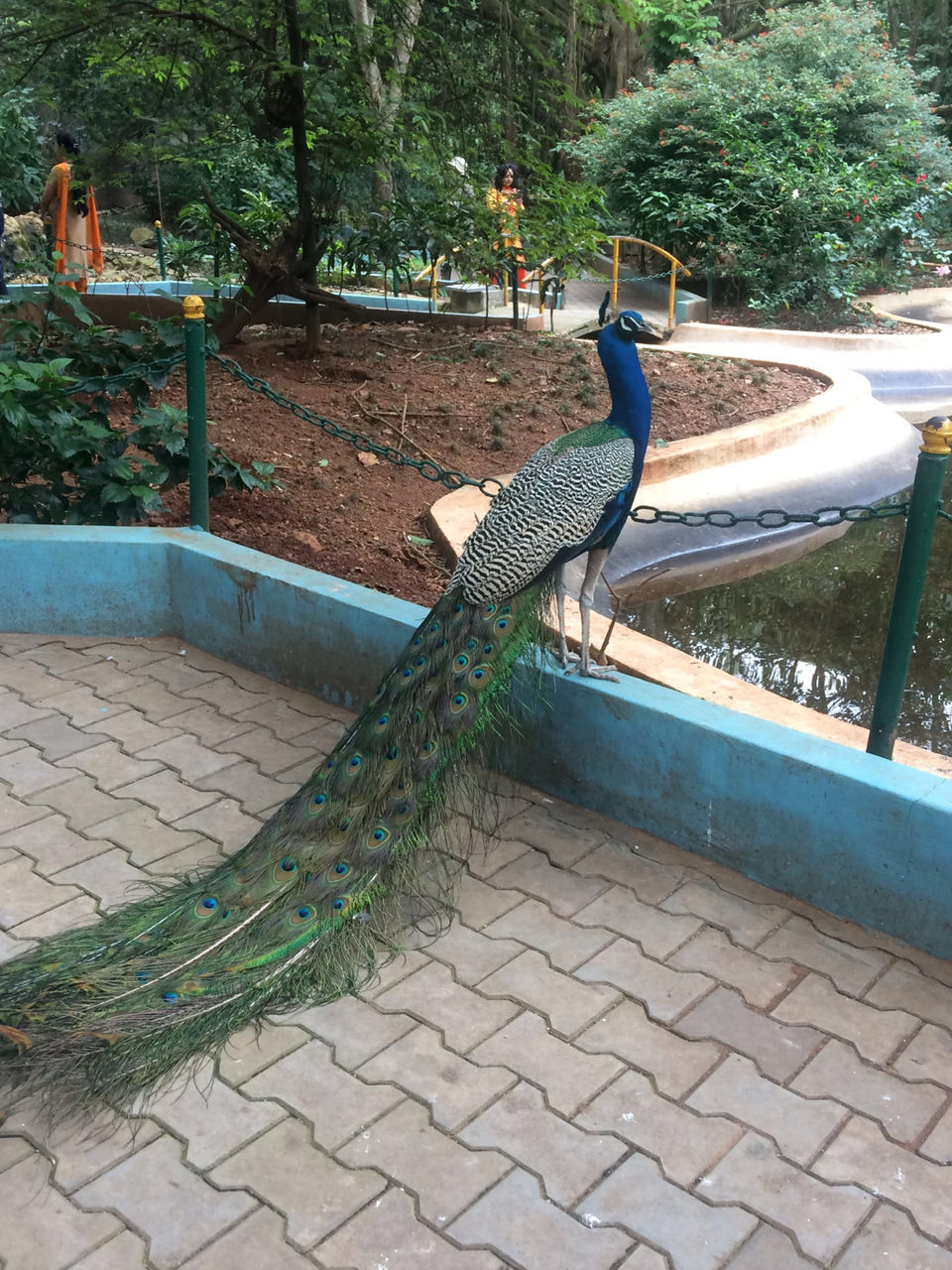 Photo of Mysuru, Karnataka, India by Jahnavi S Athreya