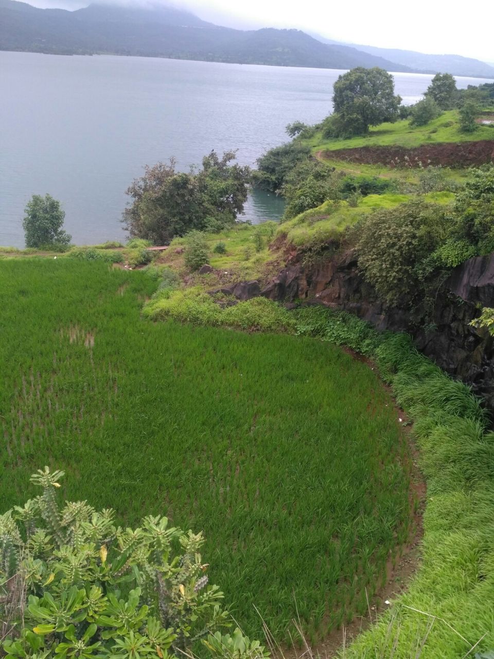 Photo of Pavana Dam, Ambegaon, Maharashtra by Joby Chacko