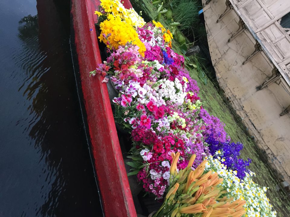 Photo of Dal Lake, Srinagar by Shivani