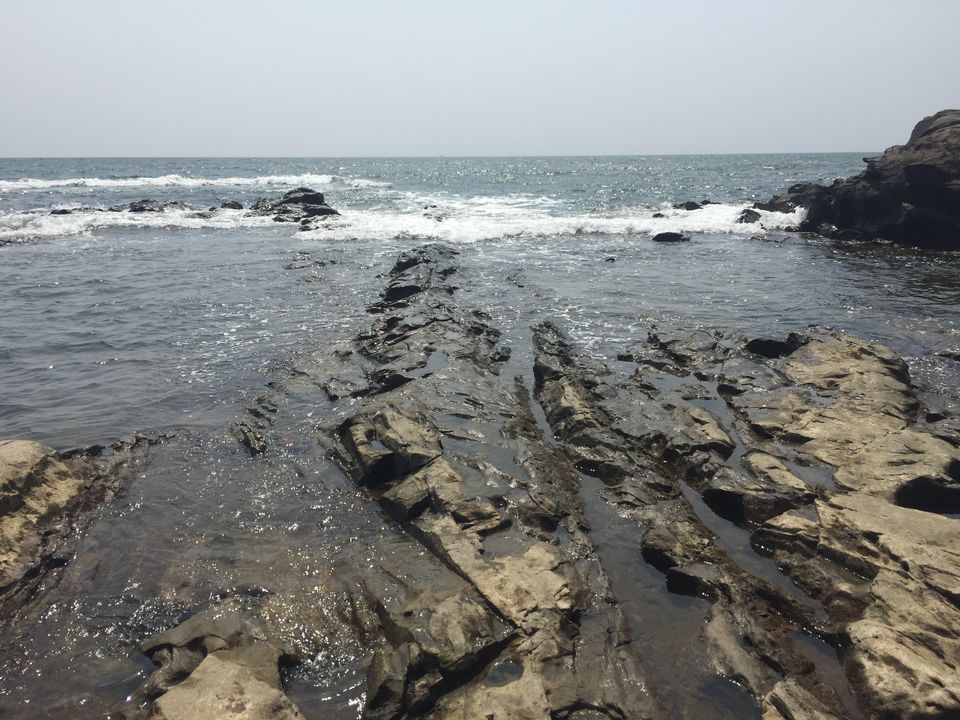 Photo of This is why I will never visit Goa again! #overratedplace 1/5 by Shivani