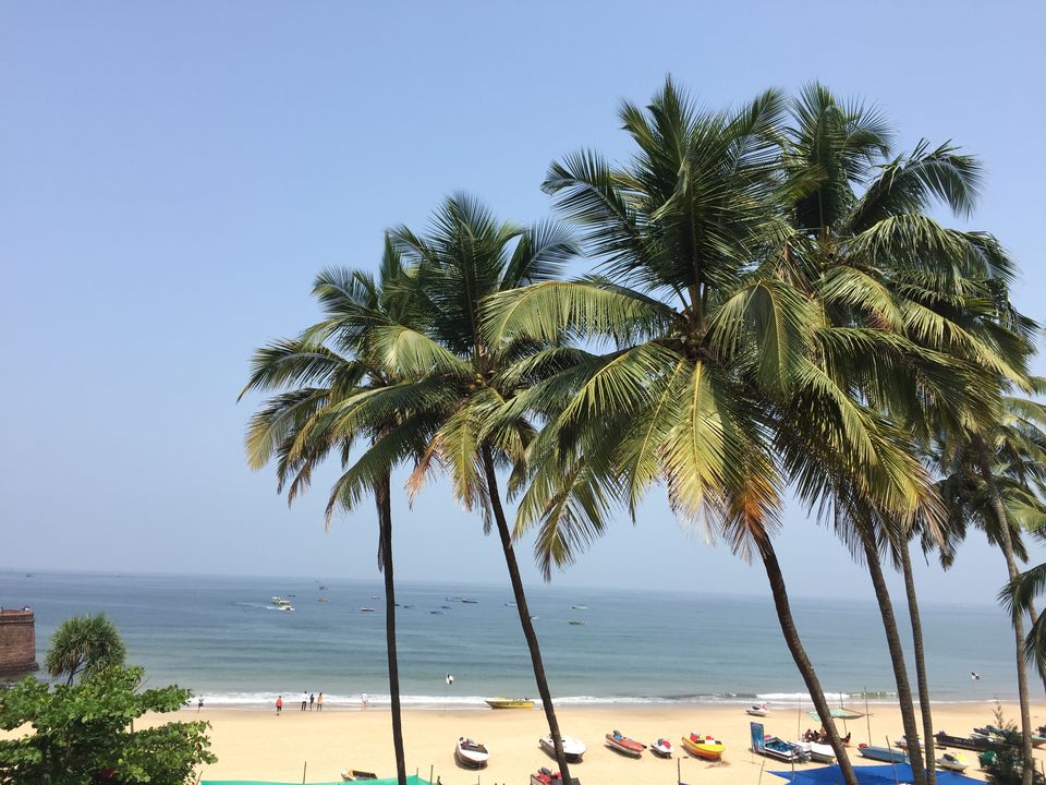 Photo of This is why I will never visit Goa again! #overratedplace by Shivani
