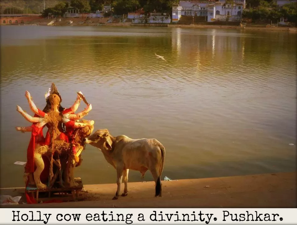 Photo of Pushkar, Rajasthan, India by Andrea Aguilar-Calderón