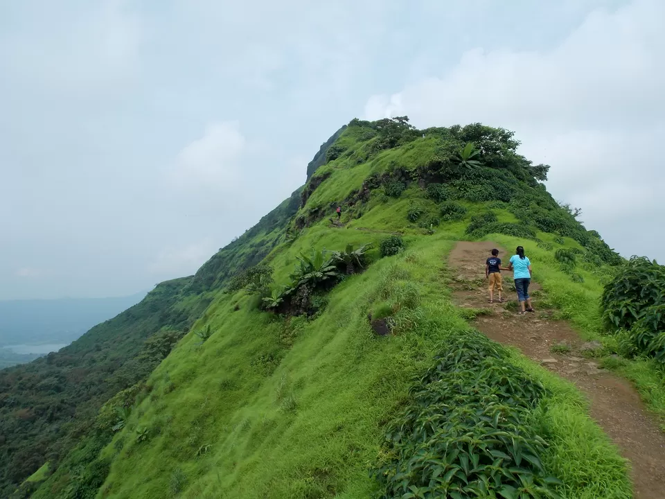 Photo of Tikona Fort by Sancharini Mitra