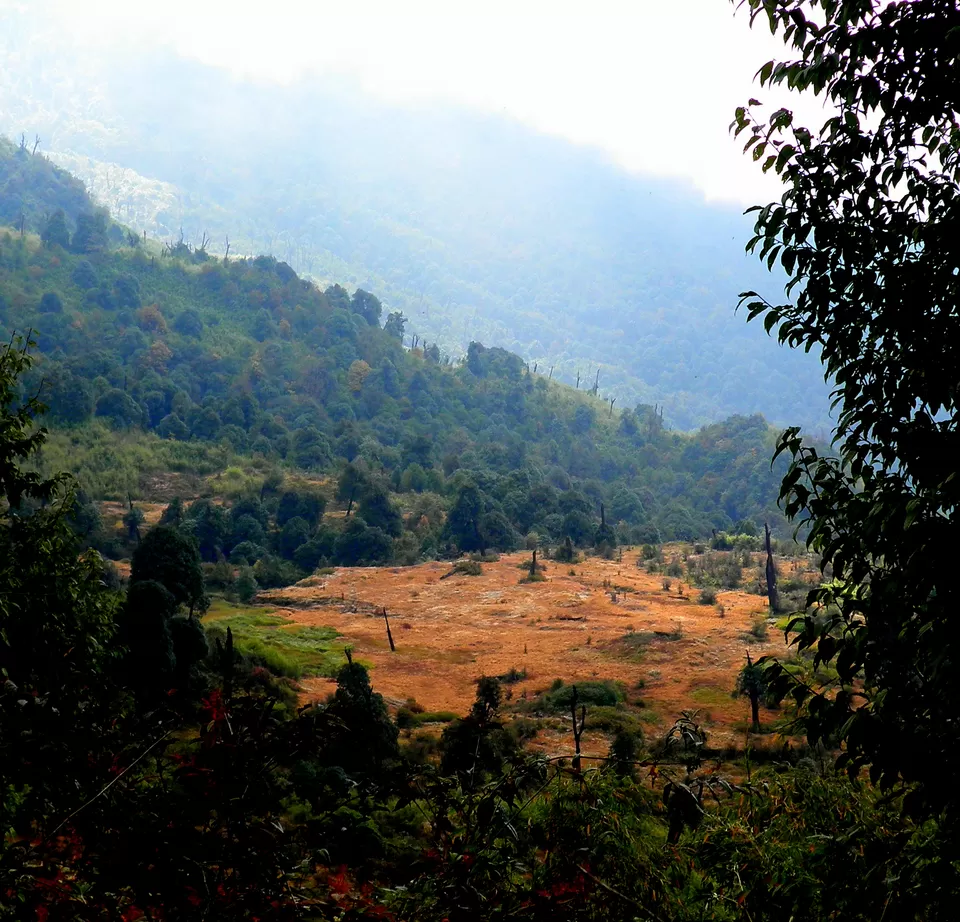 Photo of Jaley, Sikkim by Sancharini Mitra