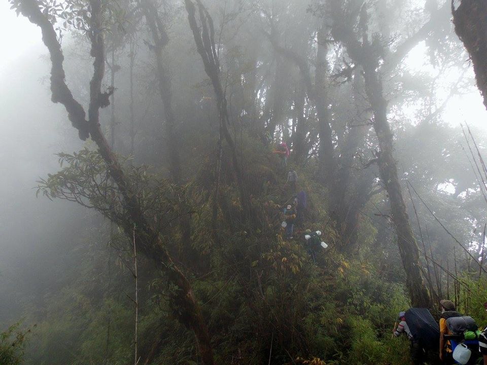 Photo of Unravelling Sikkim Himalayas – The Fambong Lho Diaries 13/14 by Sancharini Mitra