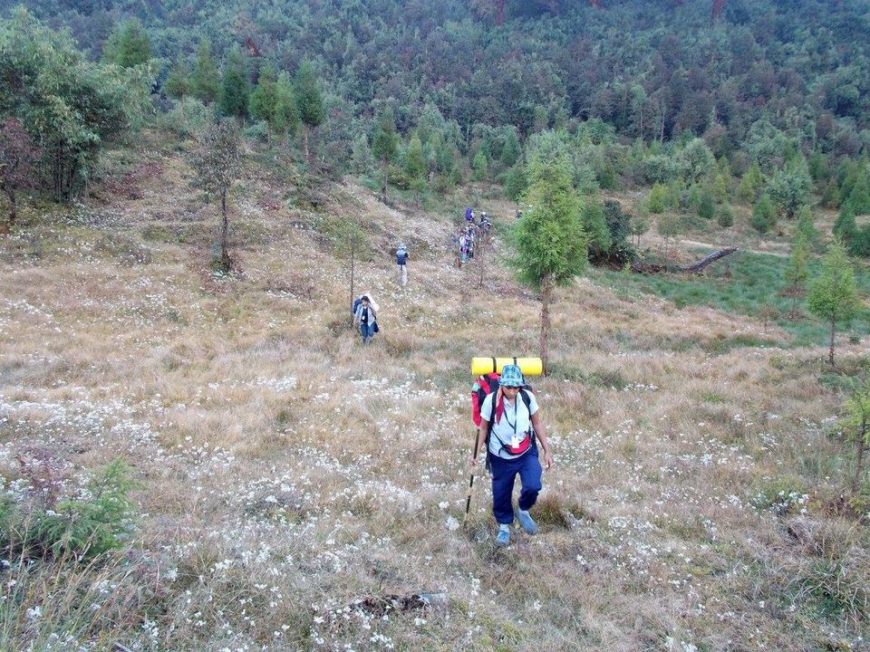 Photo of Unravelling Sikkim Himalayas – The Fambong Lho Diaries 11/14 by Sancharini Mitra