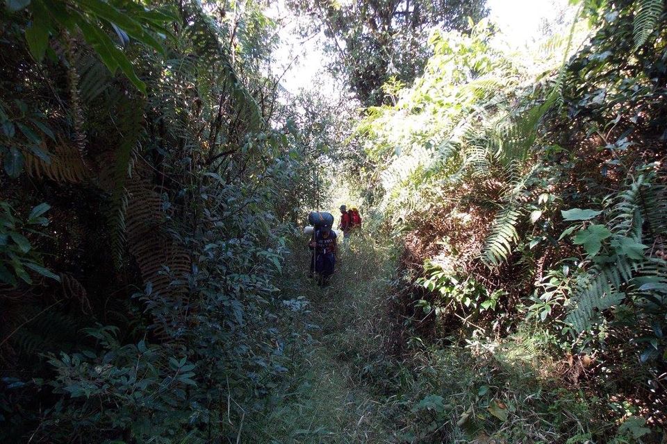 Photo of Unravelling Sikkim Himalayas – The Fambong Lho Diaries 7/14 by Sancharini Mitra