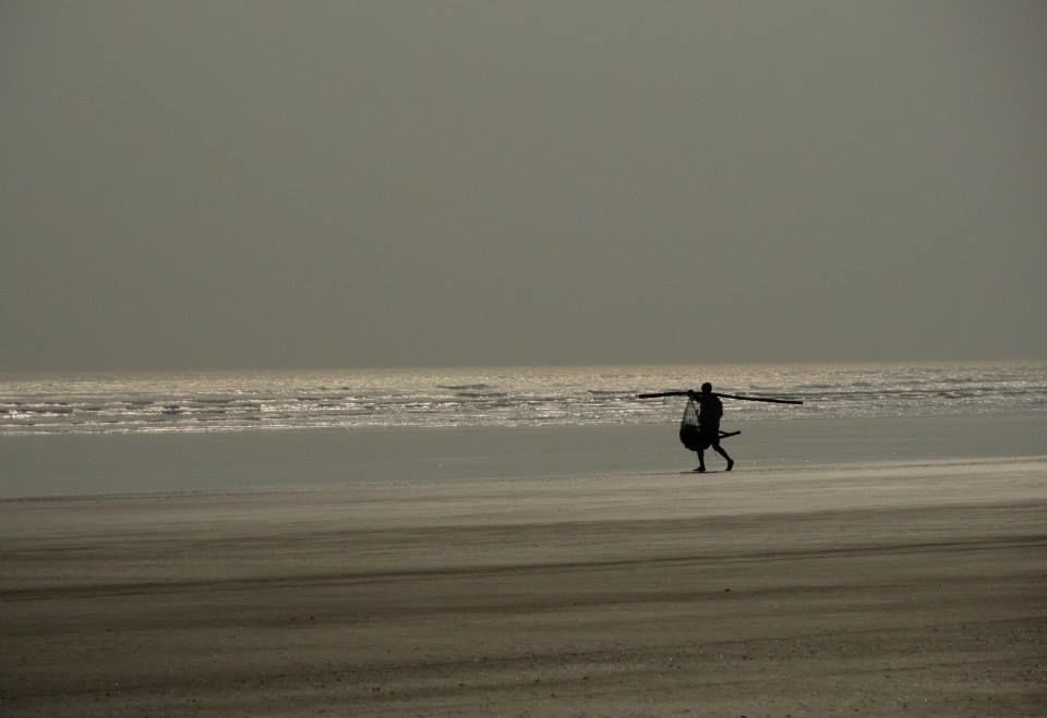 Photo of A Walk To Remember along the Coasts 11/20 by Sancharini Mitra