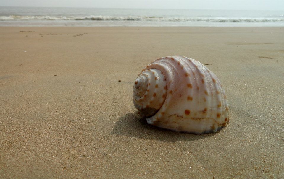 Photo of A Walk To Remember along the Coasts 6/20 by Sancharini Mitra