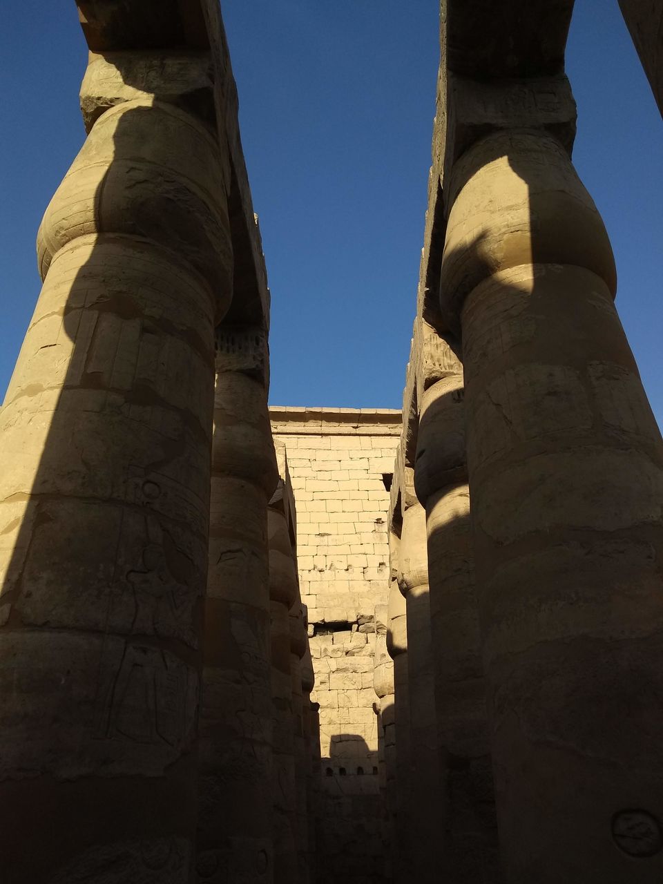 Photo of Luxor Temple, Luxor City, Luxor, Egypt by Mustafa Shahid