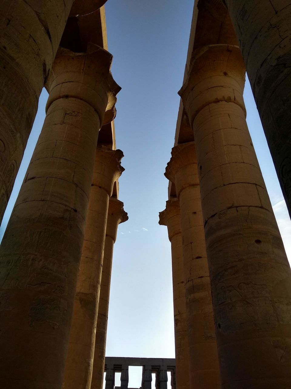 Photo of Luxor Temple, Luxor City, Luxor, Egypt by Mustafa Shahid