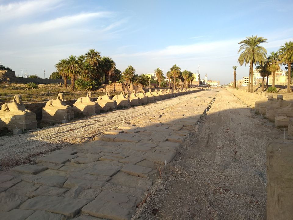 Photo of Luxor Temple, Luxor City, Luxor, Egypt by Mustafa Shahid