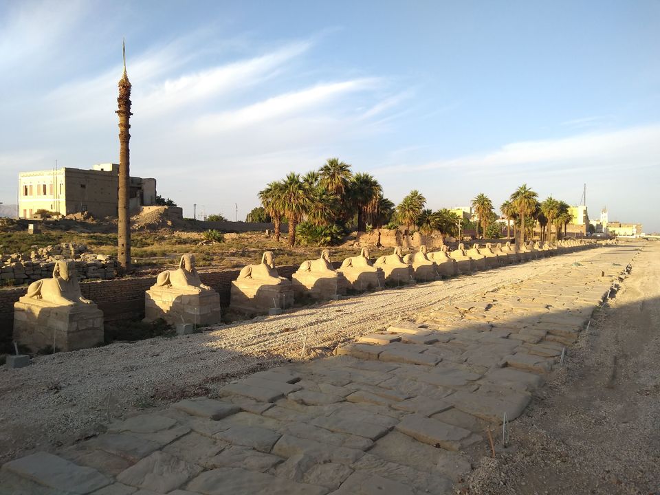Photo of Luxor Temple, Luxor City, Luxor, Egypt by Mustafa Shahid