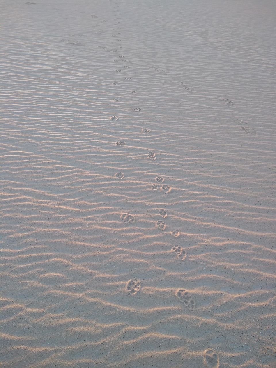 Photo of White Desert, Bawati، Egypt by Mustafa Shahid