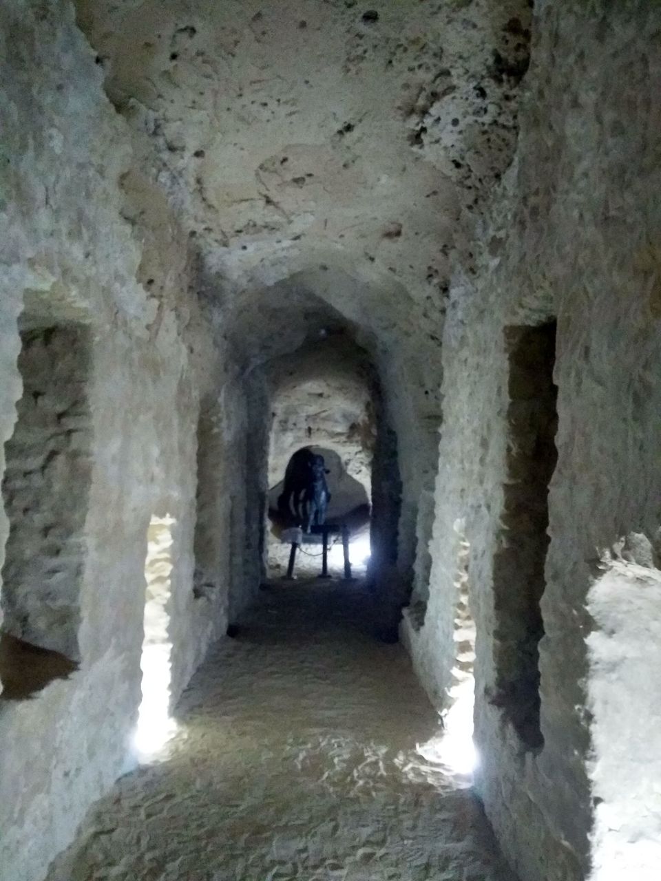 Photo of Explore Enigmatic Egypt in ₹80k by Mustafa Shahid