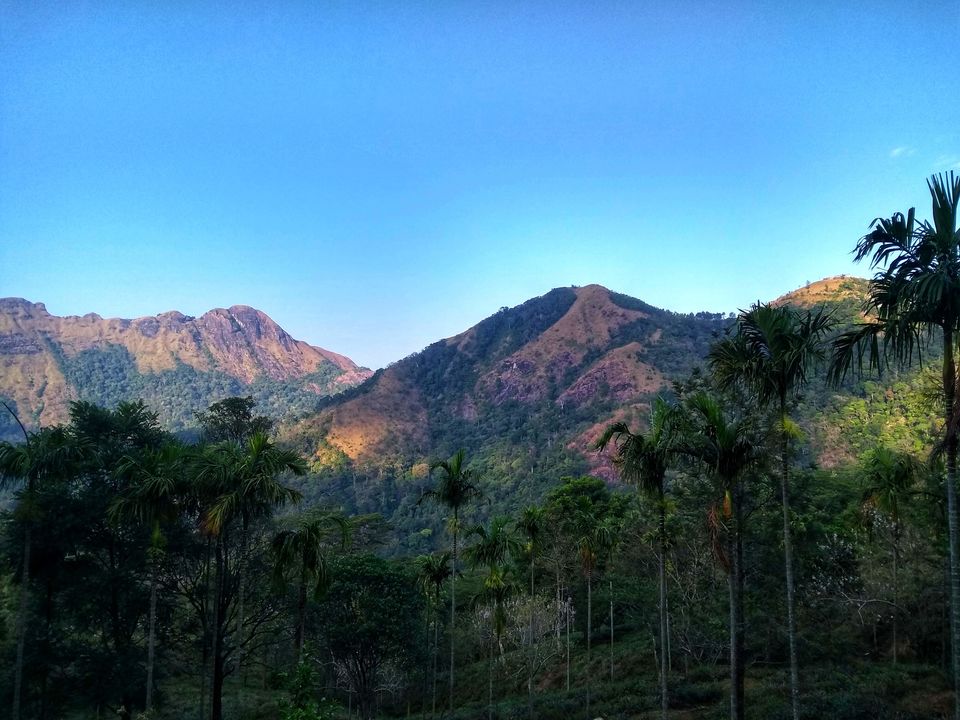 Photo of Ponmudi | The Golden Peak | Kerala | Explore as you Run by Mustafa Shahid
