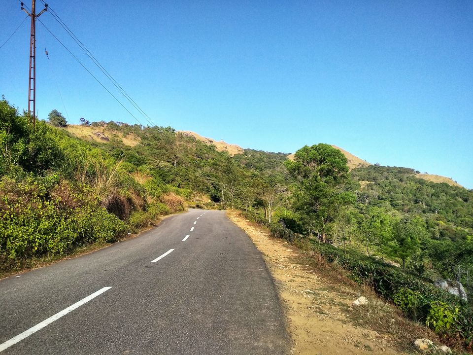 Photo of Ponmudi | The Golden Peak | Kerala | Explore as you Run by Mustafa Shahid