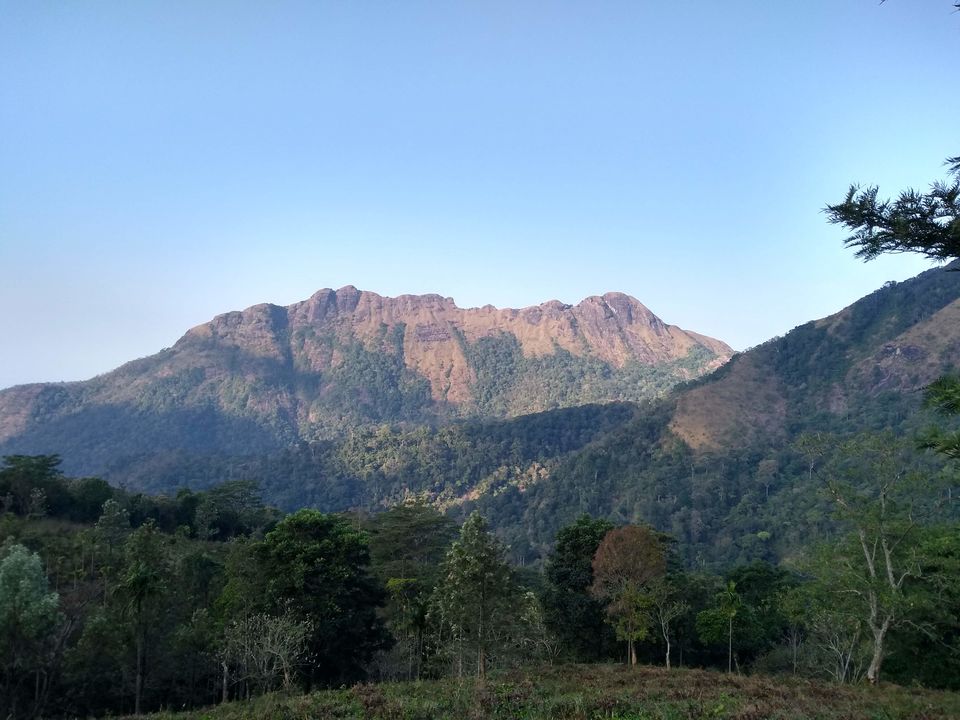 Photo of Ponmudi | The Golden Peak | Kerala | Explore as you Run by Mustafa Shahid