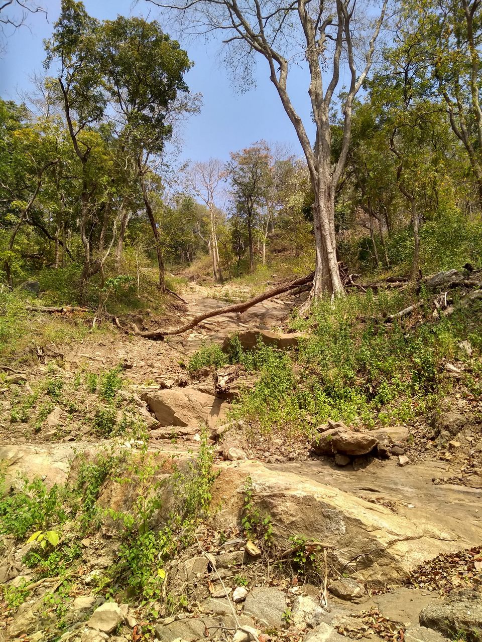 Photo of Dhoni Waterfalls, Puthuppariyaram, Kerala, India by Mustafa Shahid