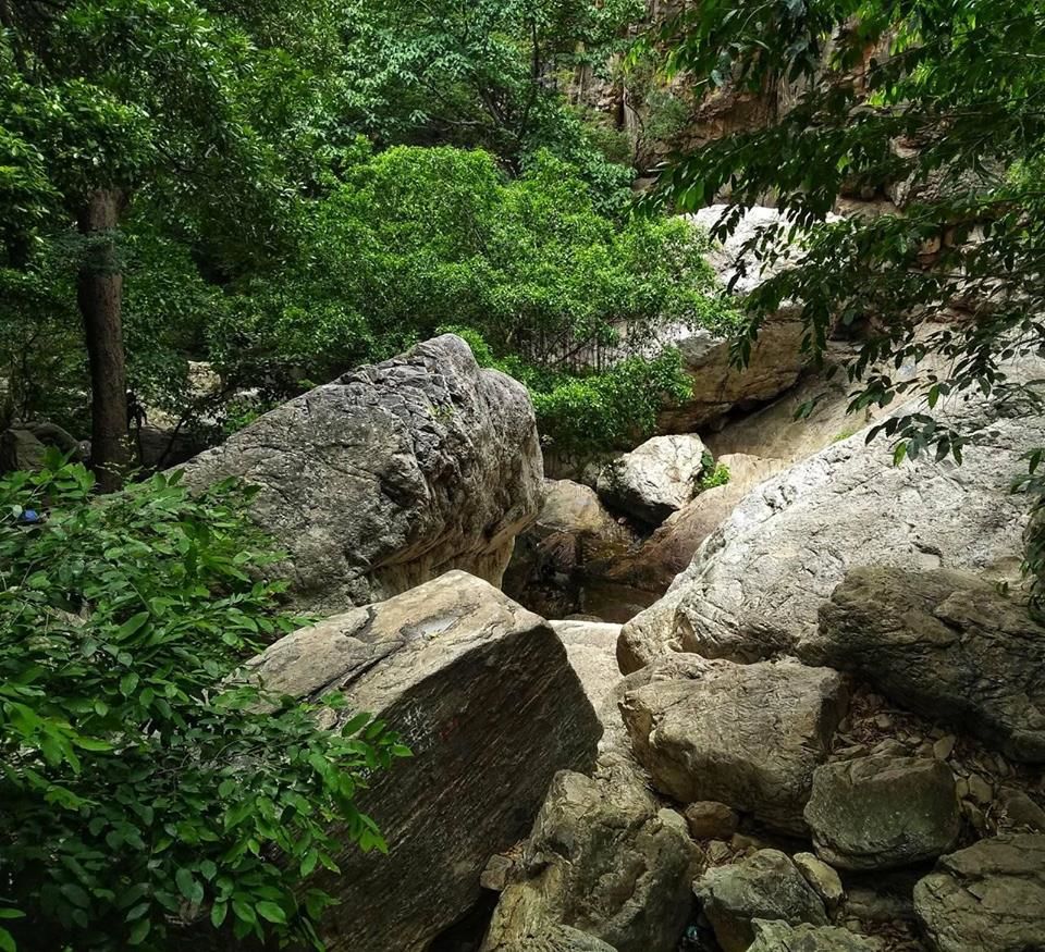 Photo of Ubbalamadugu Falls | Unknown beauty near the Space Port of India | Andhra Pradesh by Mustafa Shahid