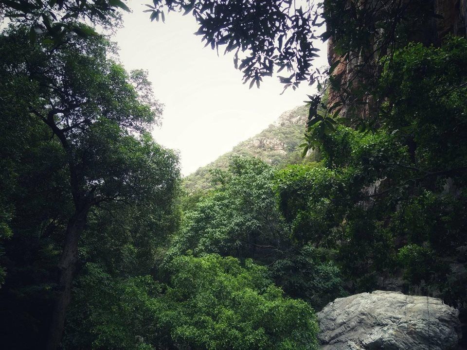 Photo of Ubbalamadugu Falls | Unknown beauty near the Space Port of India | Andhra Pradesh by Mustafa Shahid