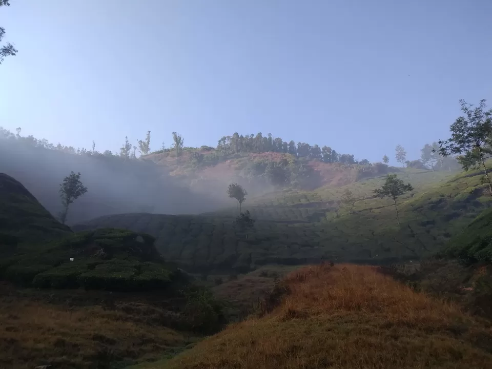 Photo of Munnar, Kerala, India by Mustafa Shahid