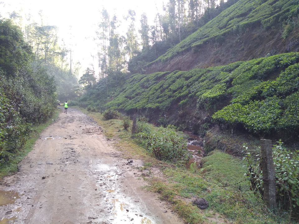 Photo of Munnar, Kerala, India by Mustafa Shahid