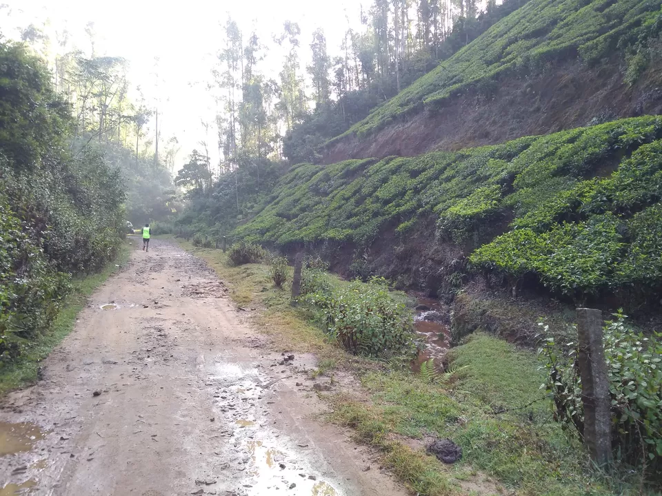 Photo of Munnar, Kerala, India by Mustafa Shahid