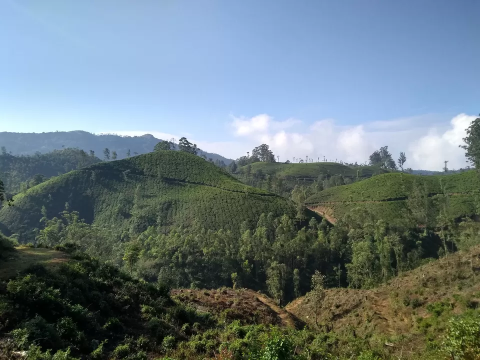 Photo of Munnar, Kerala, India by Mustafa Shahid