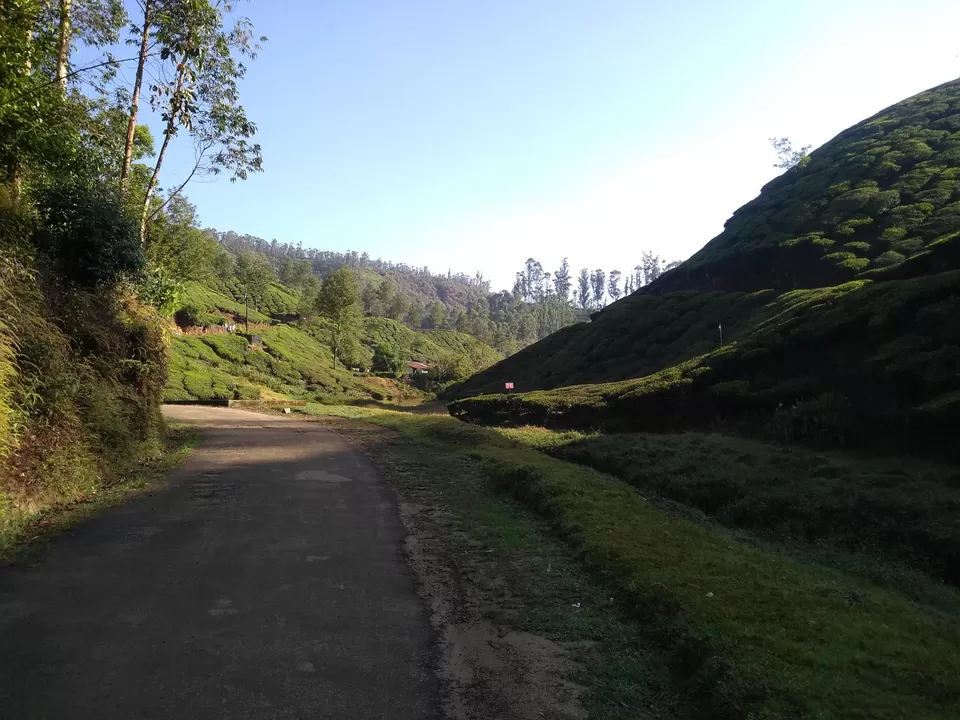 Photo of Munnar, Kerala, India by Mustafa Shahid